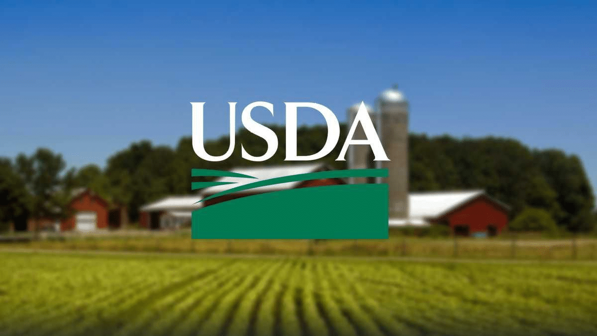 USDA Loans in Tacoma, WA for Affordable Homeownership in Rural and Suburban Areas.